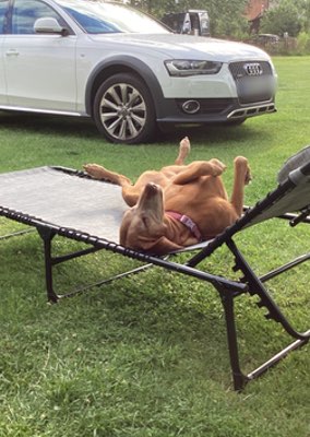 camping
